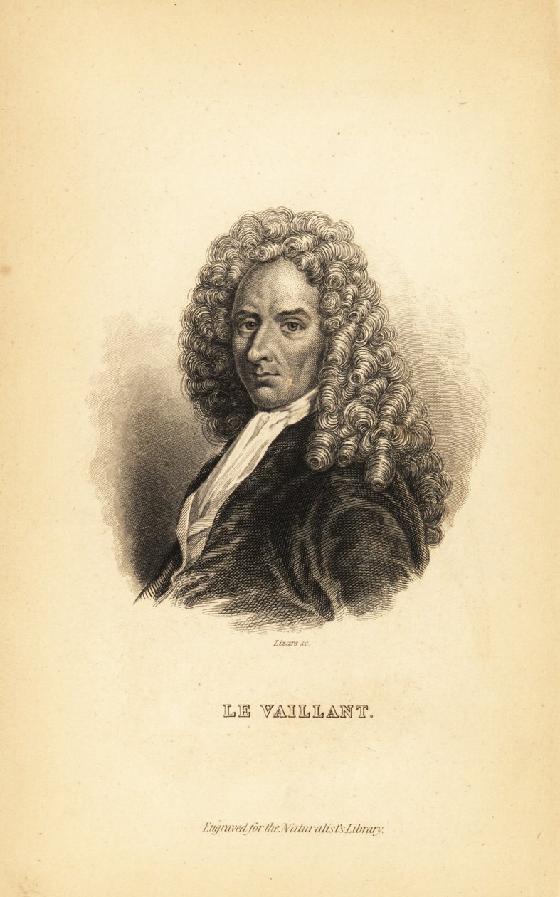 Francois le Vaillant eller Levaillant, fransk forfatter, opdagelsesrejsende, naturforsker og ornitolog af Unbekannt