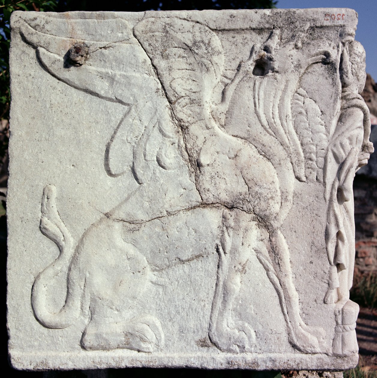 Begravelsesurne med udskåret relief af en Griffin (sten) af Unbekannt