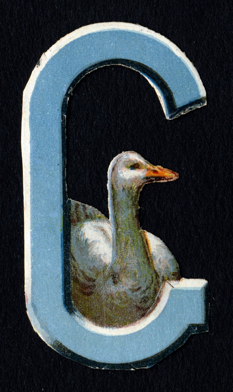 G kan lide Goose. Beetle decoupis med temaet dyr. Gravering. Serie af 26 vaffelkromolitografier af engelsk oprindelse. Redaktør og illustrator ukendt. Slutningen af det 19. århundrede. Mål: 5,5 x 3,5 cm af Unbekannt