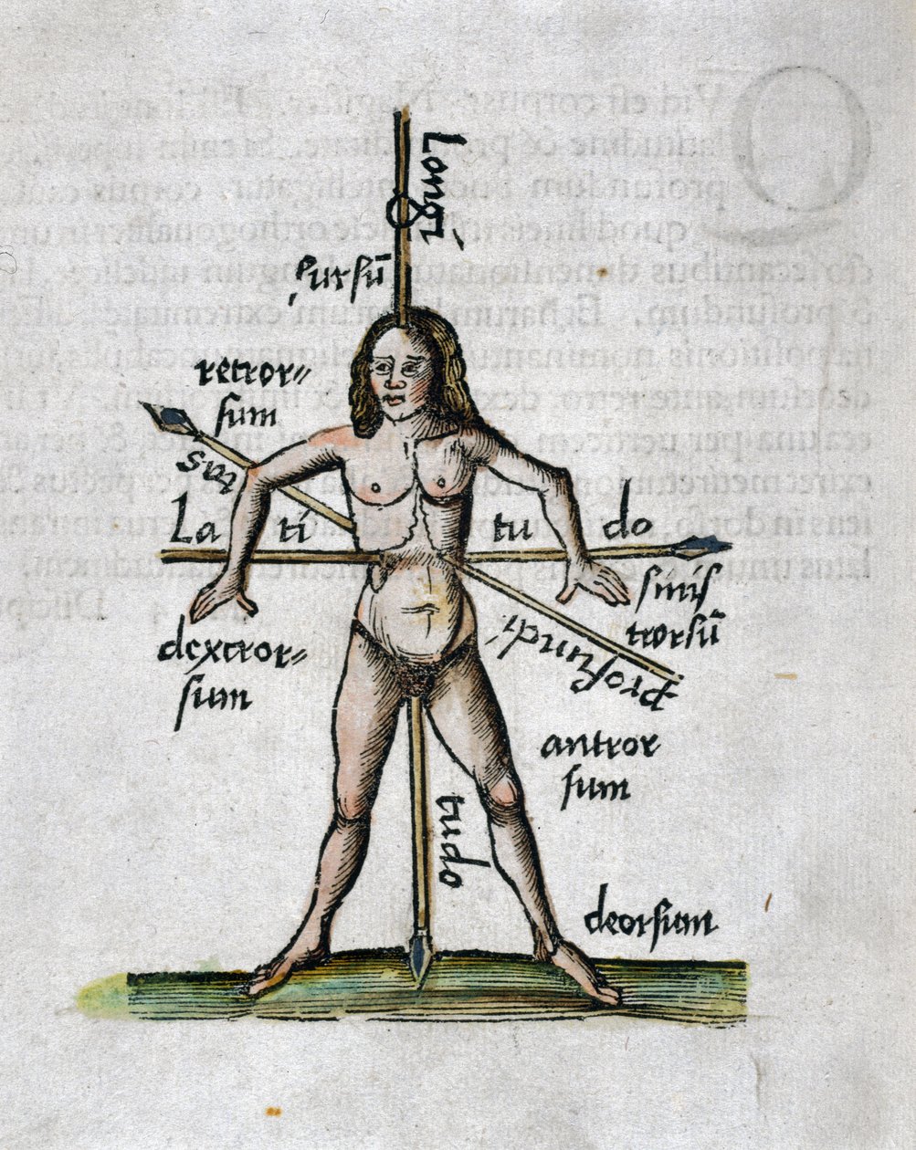 1500-tallets geografi: menneskelig figur, der repræsenterer længde- og breddegrader, hans krop krydses af lanser orienteret efter vinklerne på imaginære linjer af Unbekannt