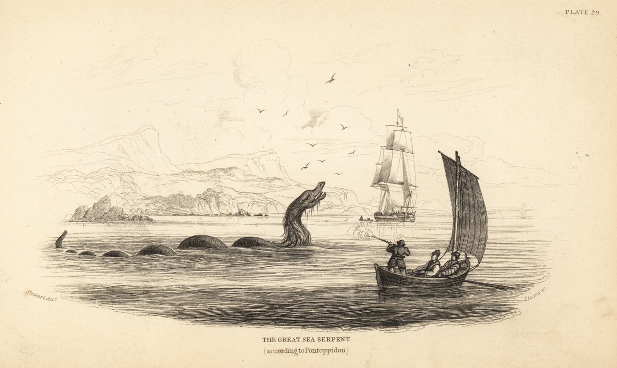 Stor søslange skudt af besætningen på Lawrence by Ferry i 1746. Beskrevet i biskop Erik Pontoppidans Norges naturhistorie. af Unbekannter Künstler