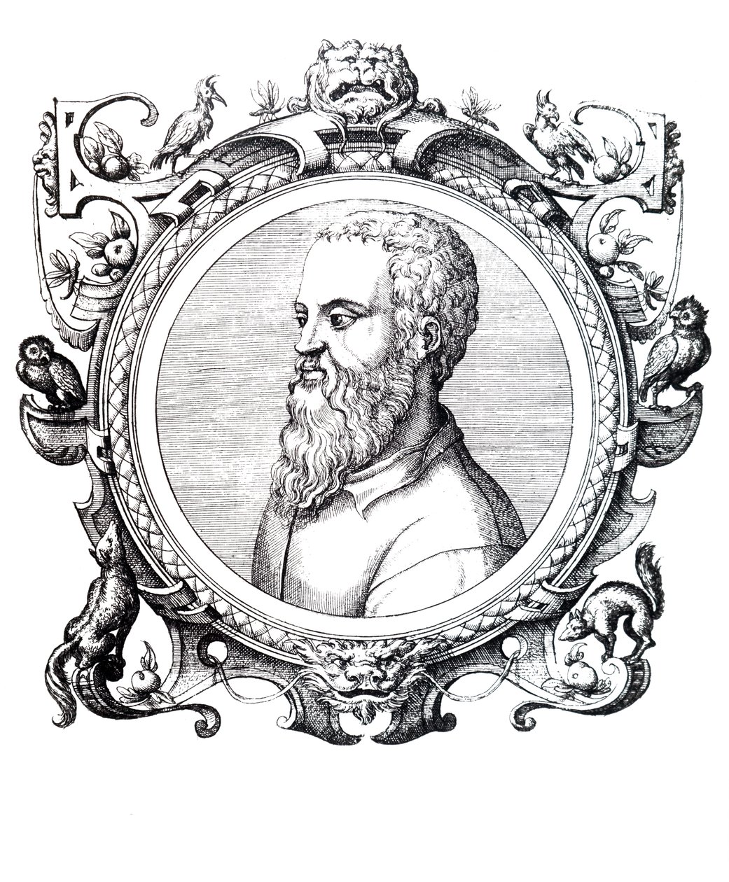 Guillaume Rondelet. af Unbekannt