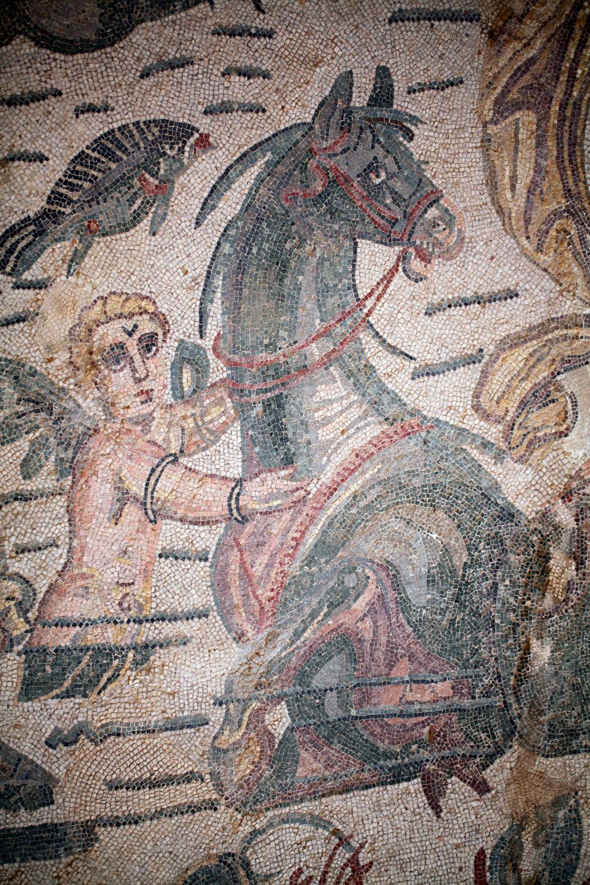 Arions sal. Marine scene. Marine væsner. Nereides og tritoner. 3. - 4. århundrede. Romersk villa i Casale, Sicilien. UNESCO-sted. af William M. Timlin