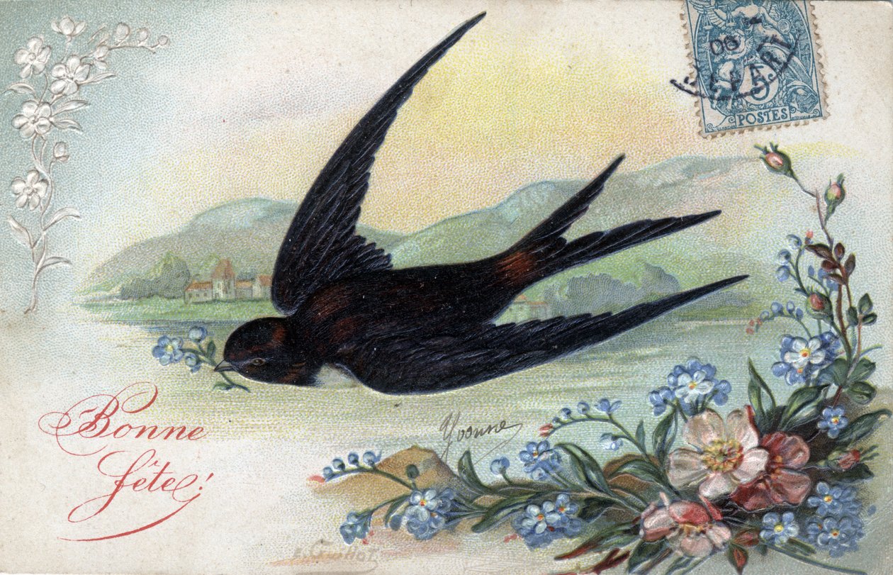Happy Birthcard: Swallow bringing a flower - Postkort dateret 1906 af Unbekannt