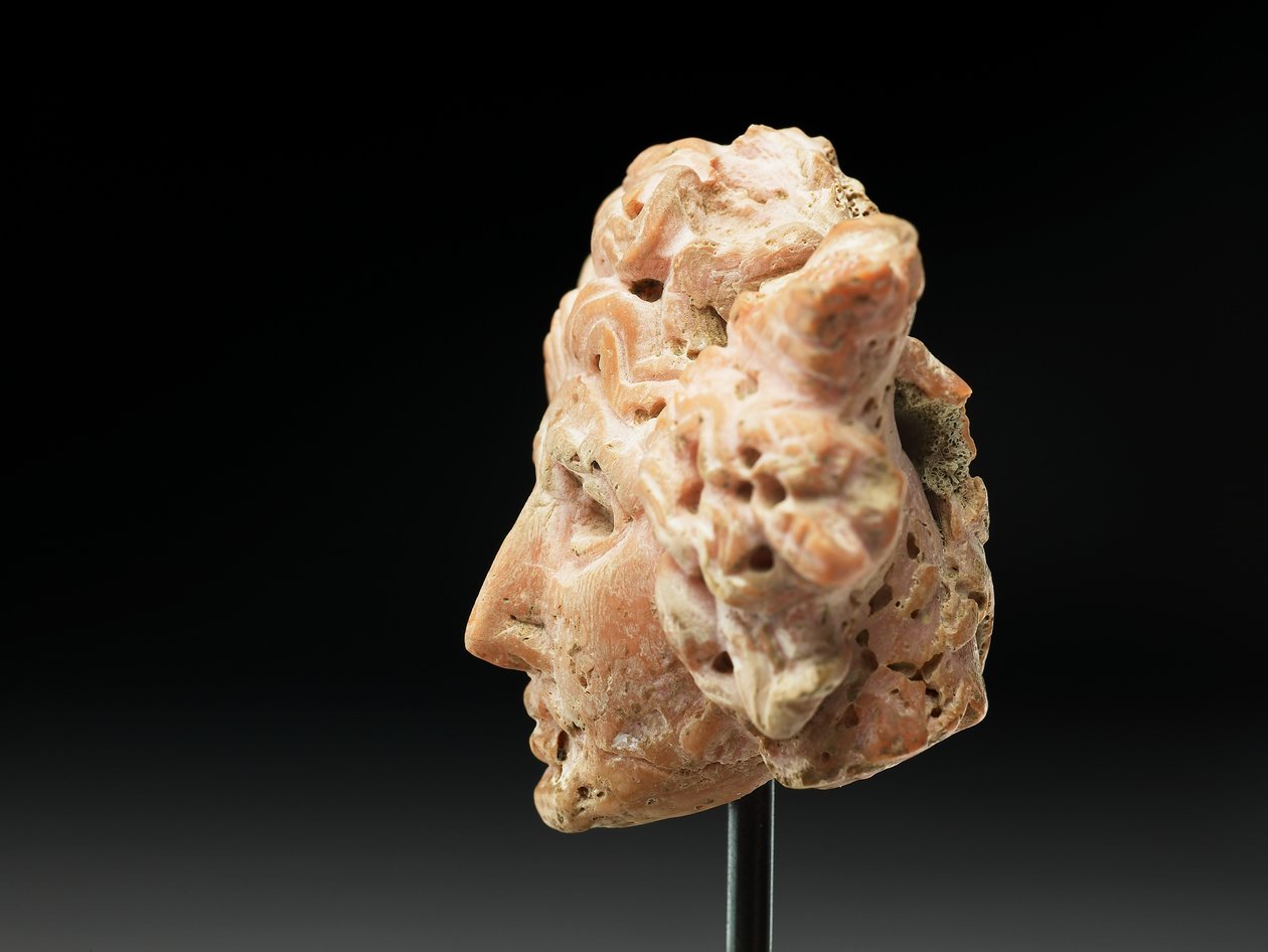 Hovedet af Medusa, fra Bactria eller Gandhara, 2.-1. århundrede f.Kr. (lyserød koral) af Unbekannt