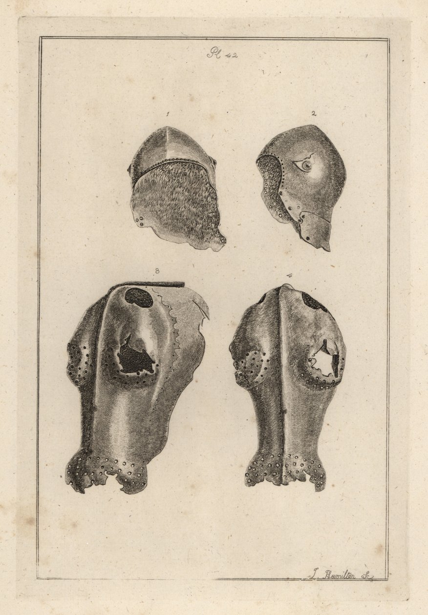 Hjelm 1,2 og jernkanfron eller chafron 3,4, der tilhørte Guy, Earl of Warwick af Unbekannt