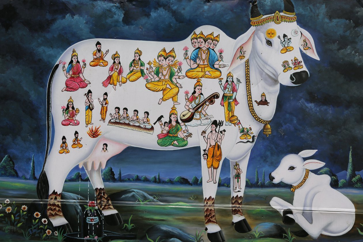 Hinduisk maleri. Hellig ko og kalv. Indien af Unbekannt