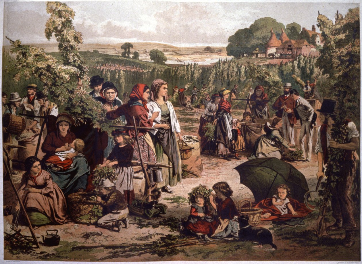 Humleplukning i England, slutningen af det 19. århundrede (illustration) af Unbekannter Künstler