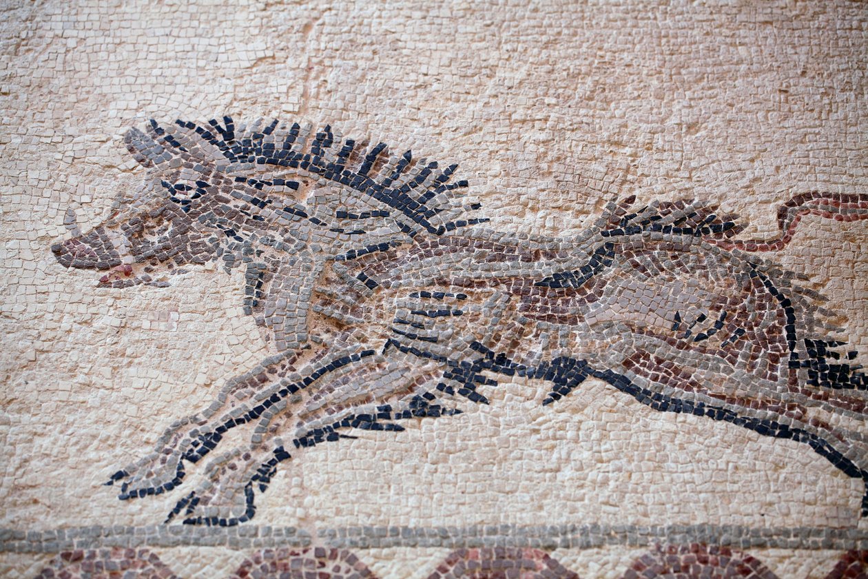 Jagtscene: Et vildsvin - Paphos-mosaikker, Dionysos-huset - Slutningen af det 2. århundrede e.Kr. - Cypern - Jagtscene: Vildsvin i bevægelse - Mosaikker fra Paphos, Dionysos-huset - Slutningen af det 2. århundrede e.Kr. - UNESCO-sted, Cypern af William M. Timlin