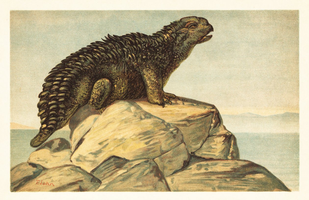 Hylaeosaurus armatus, uddød planteædende ankylosaurisk dinosaur 1908 (litografi) af Unbekannter Künstler