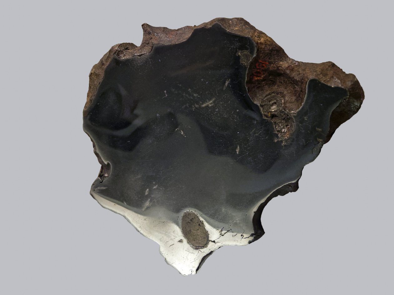 Jernmeteorit (IAB). Find en Canyon Diablo (USA) i 1891. National Museum of Natural History, Paris. af Unbekannt