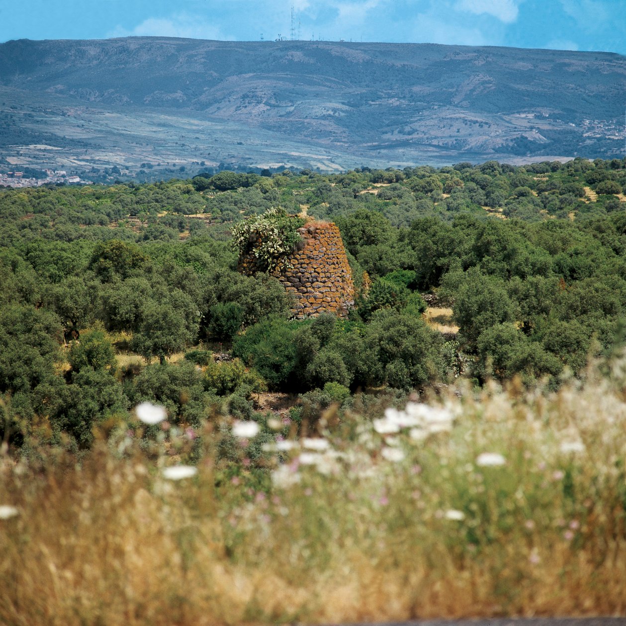 Italien, Sardinien-regionen, Oristano-provinsen, Nuraghe Crabia af William M. Timlin