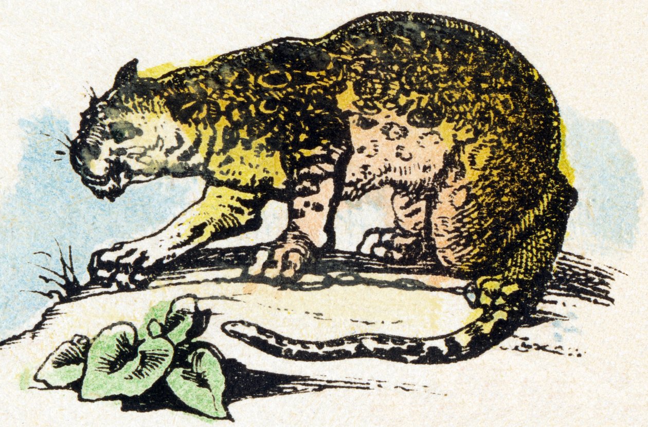 J - Jaguar - Alfabet - børneunderholdning - Billedepinal, populær serie c.1890 (illustration) af Unbekannt