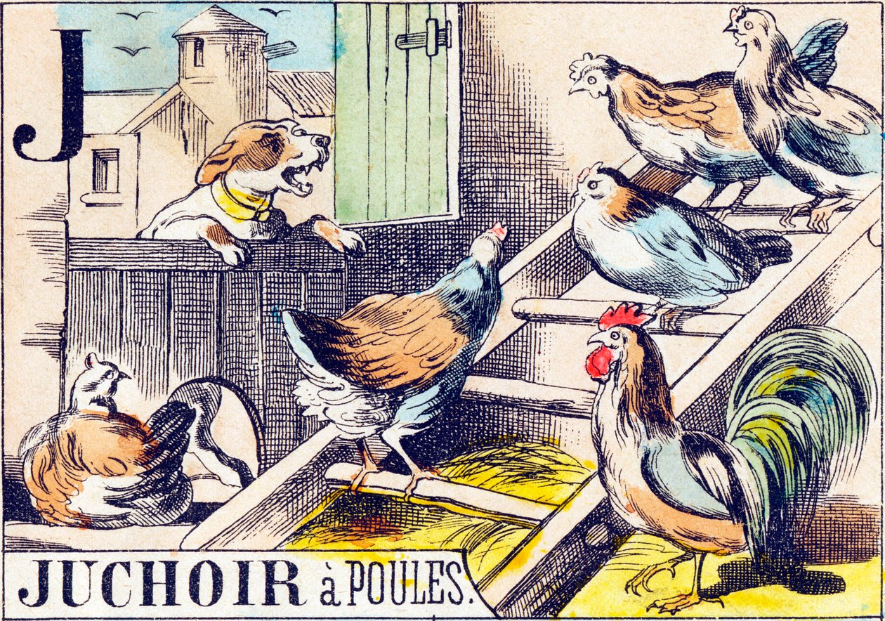 J Juchoir a poules - "gårdens alfabet" slutningen af det 19. århundrede (gravering) af Unbekannt