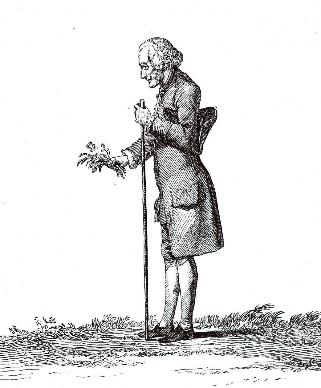 Jean-Jacques Rousseau. af Unbekannt