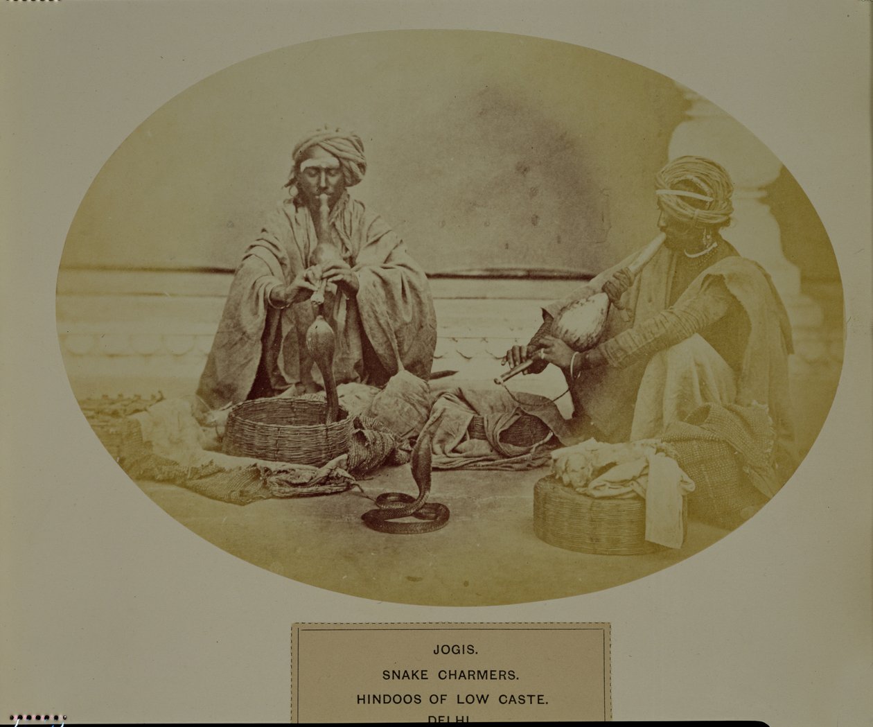 Jogis eller Snake Charmers, lavkaste hinduer fra Delhi, no. 205 fra 