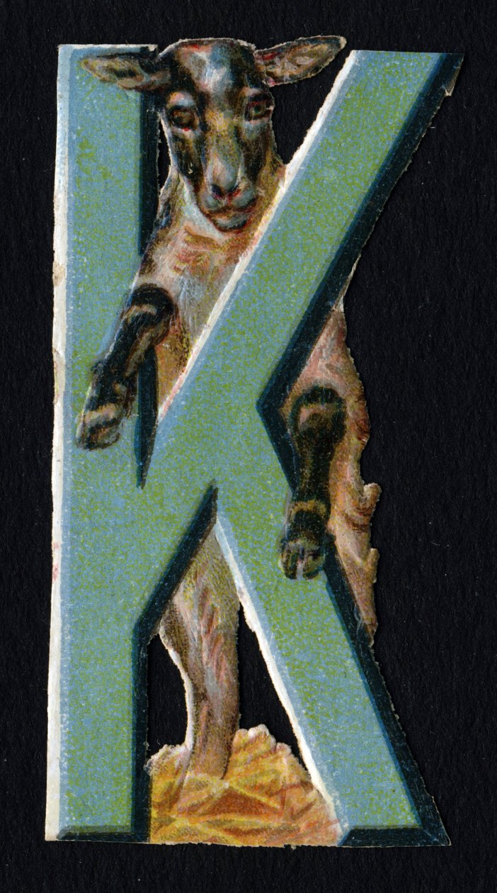 K som Karakul . Beetle decoupis med temaet dyr. Gravering. Serie af 26 vaffelkromolitografier af engelsk oprindelse. Redaktør og illustrator ukendt. Slutningen af det 19. århundrede. Mål: 5,5 x 3,5 cm af Unbekannt