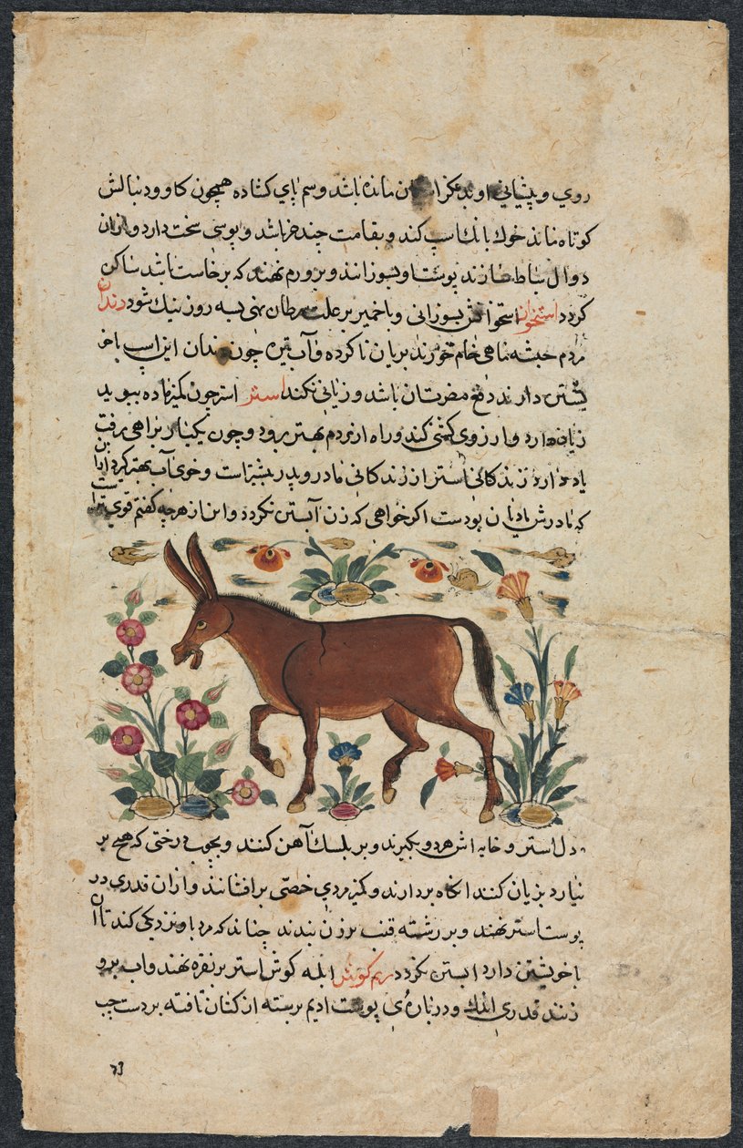 Andet (fundet), fra en nezhantami-besætning (fremragende bog om vi vil ankomme) fra Shahmarda Ibn Abi al-Khair af Unbekannt
