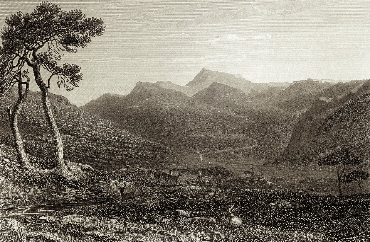 Lachin Y Gair af Unbekannter Künstler