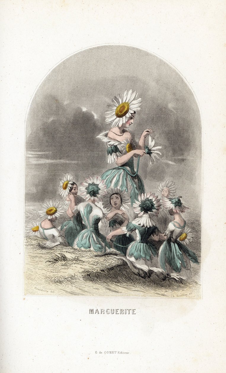 Les fees des daisies des pres, toppet med blomsterhatte, den ene efterlader kronbladene fra en tusindfryd - Eau forte af Charles Geoffroy (1819-1882), efter en illustration af Jean Ignace Isidore Gerard dit J.J.Granville (1803-1847), for Les fleurs animees af Unbekannter Künstler