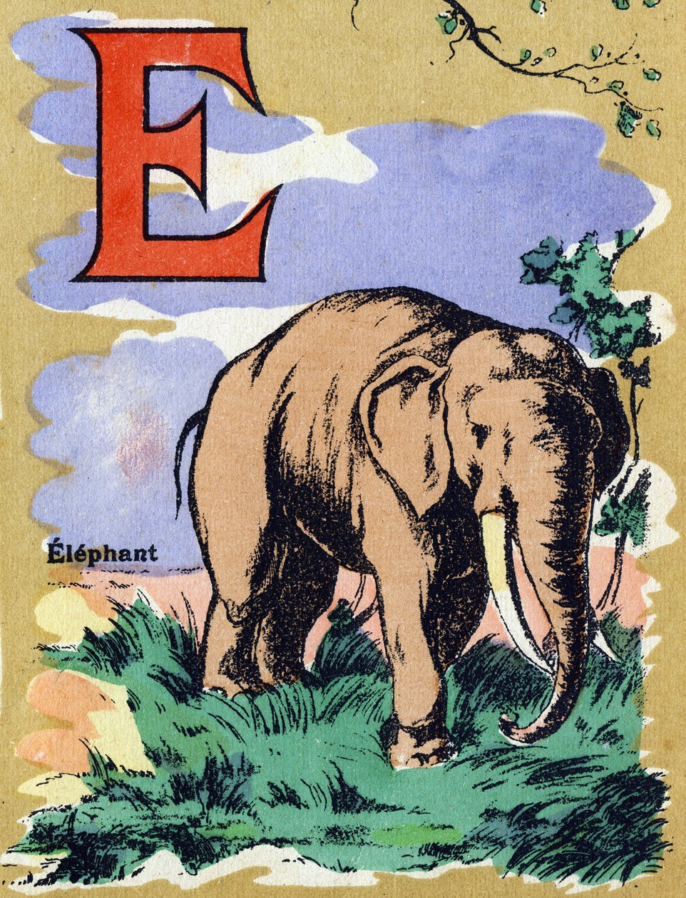 Bogstav E som en elefant. Illustreret alfabet. Billeder genforenet i Jarville-Nancy, begyndelsen af det 20. århundrede. Mål: 40 x 29 cm. Litografi på bistre baggrund af Unbekannt