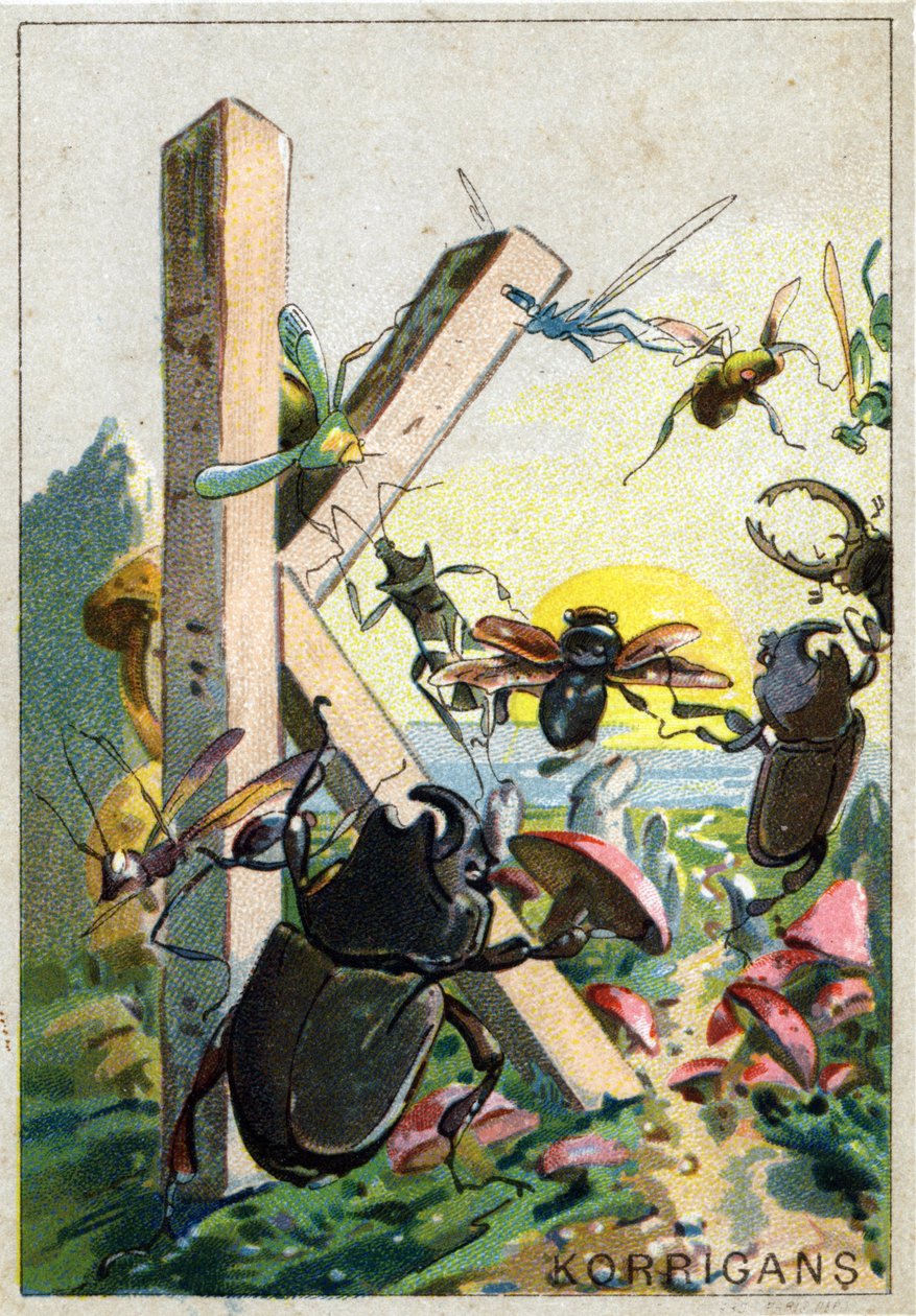 Bogstav K som Korrigans. Mr. Mariniers kunstneriske alfabet. Redigeret af Henry Sicard, slutningen af det 19. århundrede. Reklamekromolitografier for produkter, der sælges på apoteker. Mål: 12,5 x 9 cm af Unbekannt
