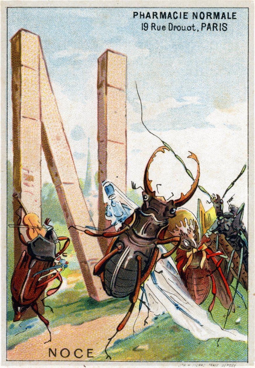 Bogstav N som bryllup. Mr. Mariniers kunstneriske alfabet. Redigeret af Henry Sicard, slutningen af det 19. århundrede. Reklamekromolitografier for produkter, der sælges på apoteker. Mål: 12,5 x 9 cm af Unbekannt
