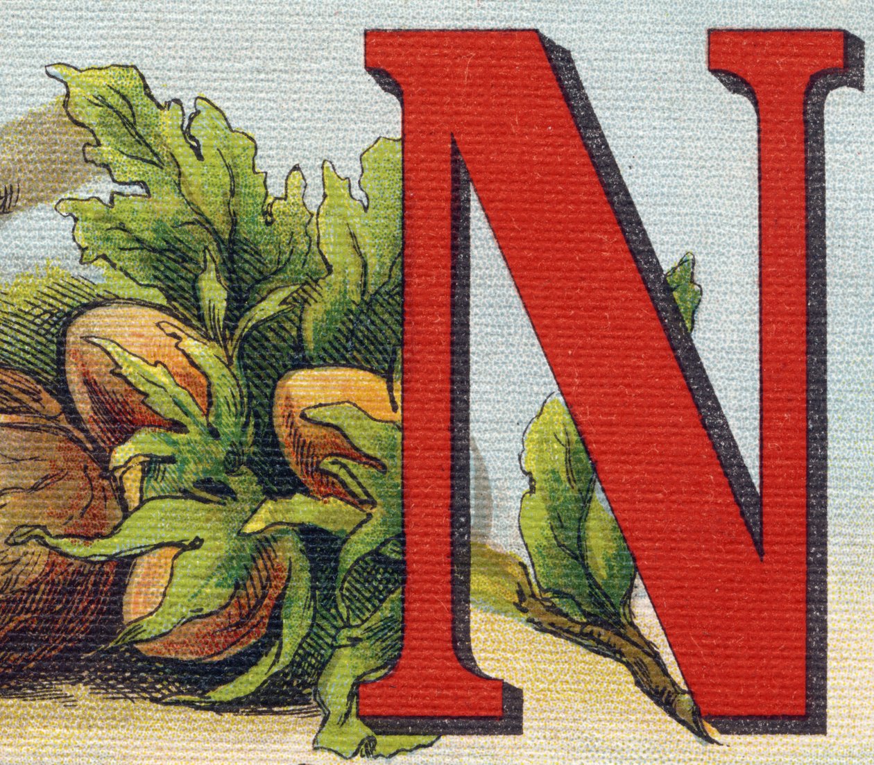 Bogstav N: hasselnødder. Indgravering i "Alphabet de ma petite fille". Bernardin-Bechet og Fils, boghandler-forlag, Paris, omkring 1895. Ubrydeligt album på lærred. Bibliotheque des Bebes. 12 sider. Album indeholdende en læsemetode og en illustrativ abec af Unbekannt