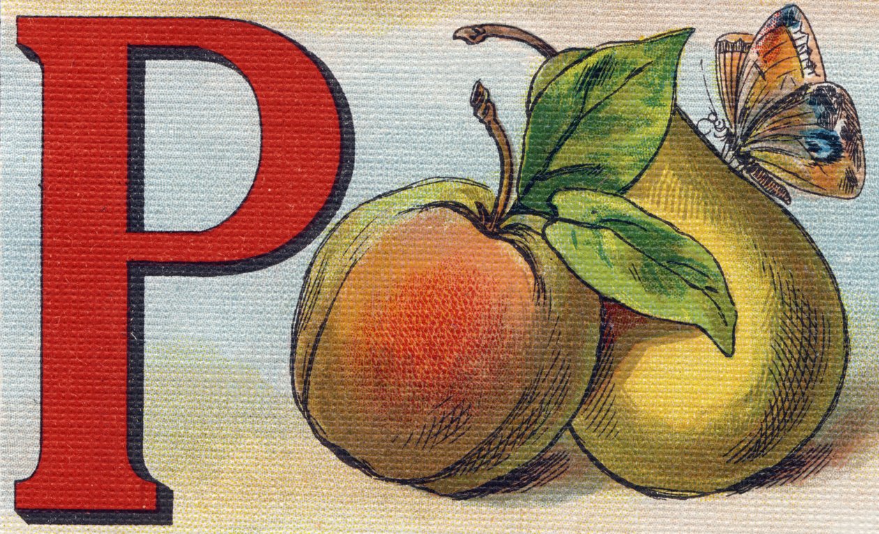 Bogstavet P som fersken, pære og sommerfugl. Indgravering i "Alphabet de ma petite fille". Bernardin-Bechet og Fils, boghandler-forlag, Paris, omkring 1895. Ubrydeligt album på lærred. Bibliotheque des Bebes. 12 sider. Album indeholdende en læsemetode og e af Unbekannt