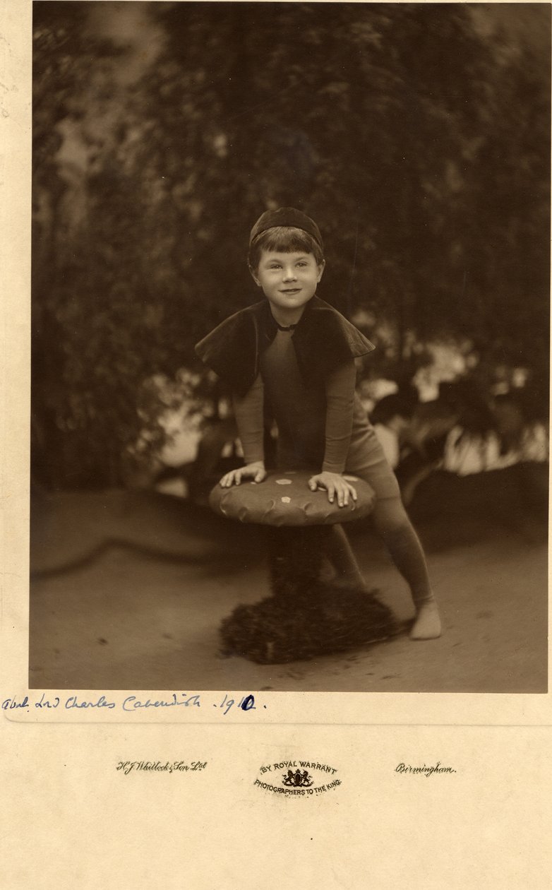 Lord Charles Cavendish af William M. Timlin