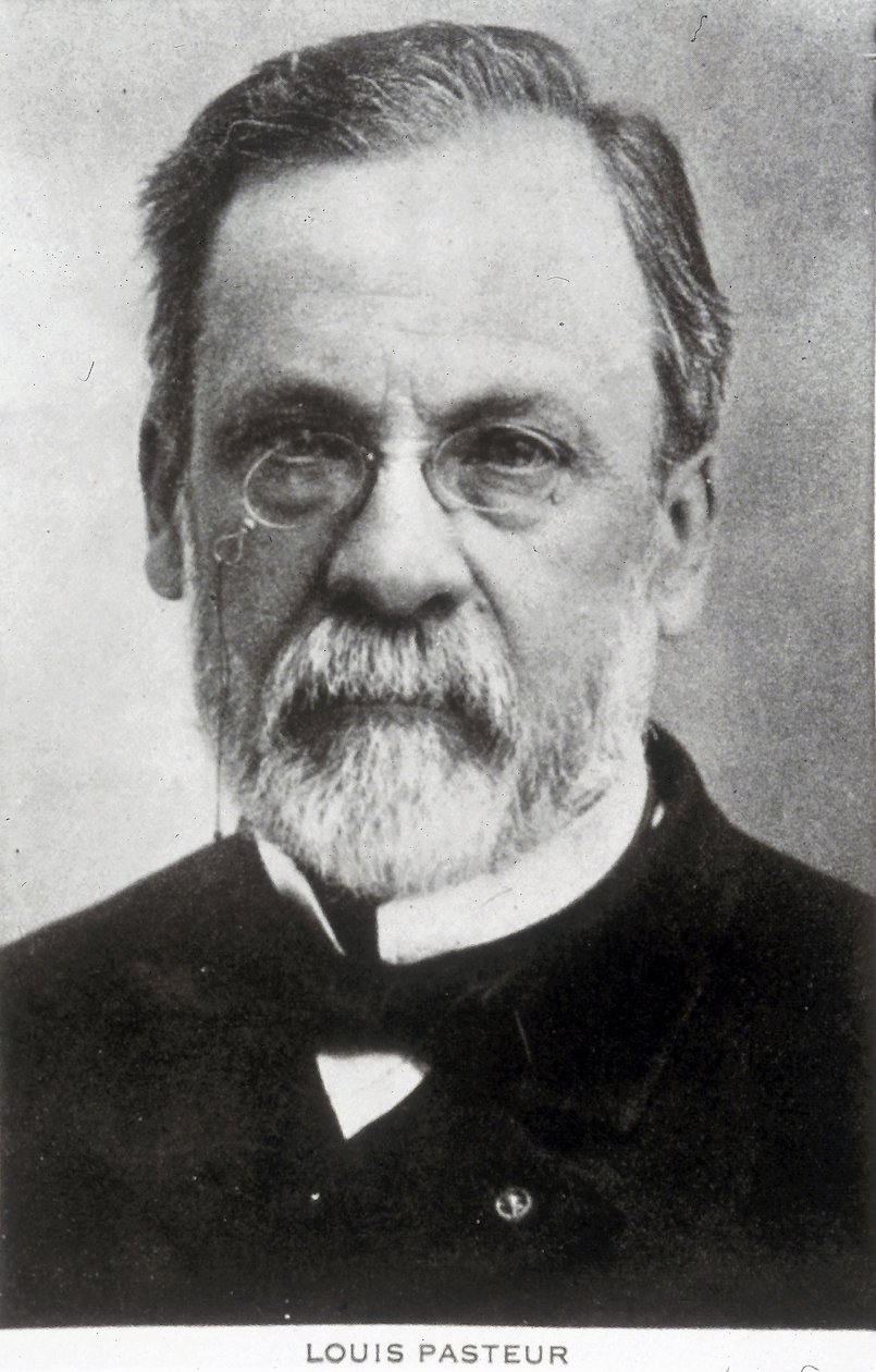 Louis Pasteur, fransk kemiker og mikrobiolog, ca. 1885 af Unbekannter Künstler