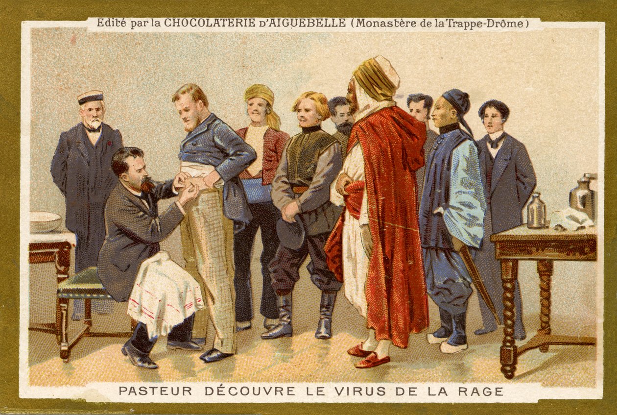 Louis Pasteur opdager rabiesvirus af Unbekannter Künstler