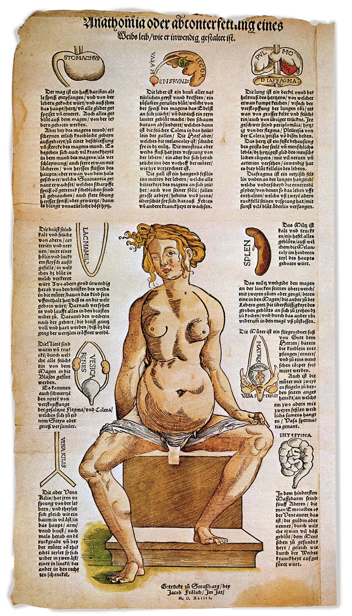 Medicin: anatomisk tavle, der beskriver den kvindelige anatomi fra en medicinsk behandling i renæssancen. Omkring figuren af en siddende kvinde er oplistet og illustreret vitale organer som lever, lunger og mellemgulv, mave og forplantningsapparat. Stik i  af Unbekannter Künstler