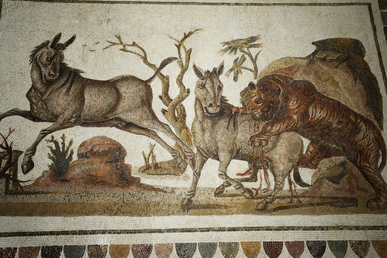 Mosaik af dyrekampe: tiger, der overfalder to nat-primagre. II s AD/Musee d
