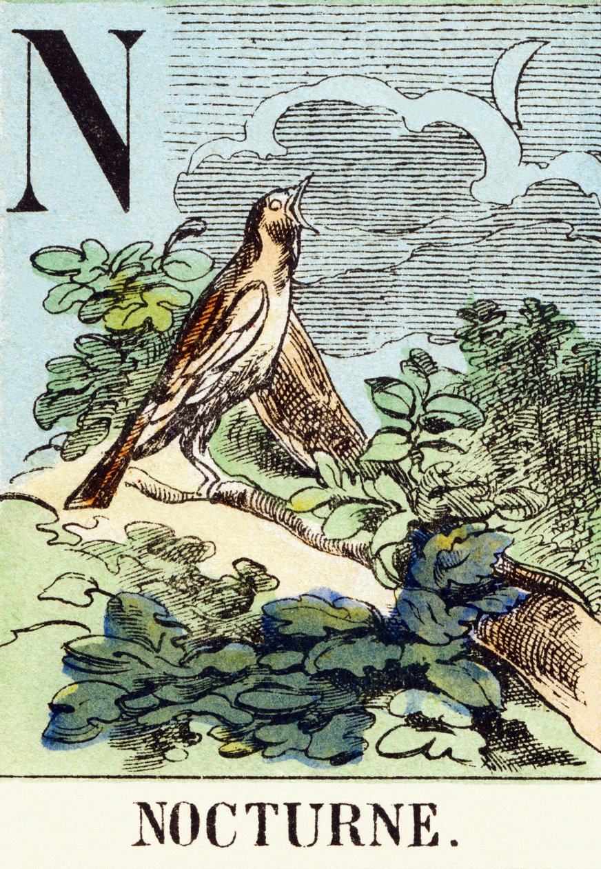 N : Nocturne - Jagtalfabetet, ca. 1890 (gravering) af Unbekannt