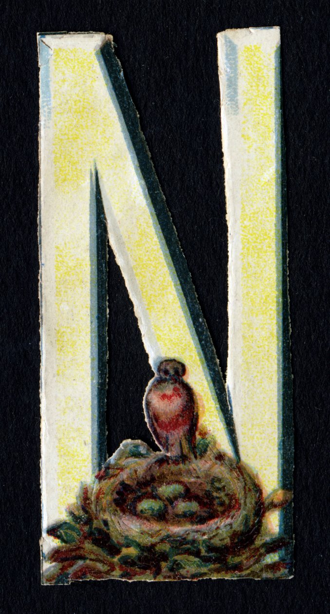N ligesom Nest. Beetle decoupis med temaet dyr. Gravering. Serie af 26 vaffelkromolitografier af engelsk oprindelse. Redaktør og illustrator ukendt. Slutningen af det 19. århundrede. Mål: 5,5 x 3,5 cm af Unbekannt