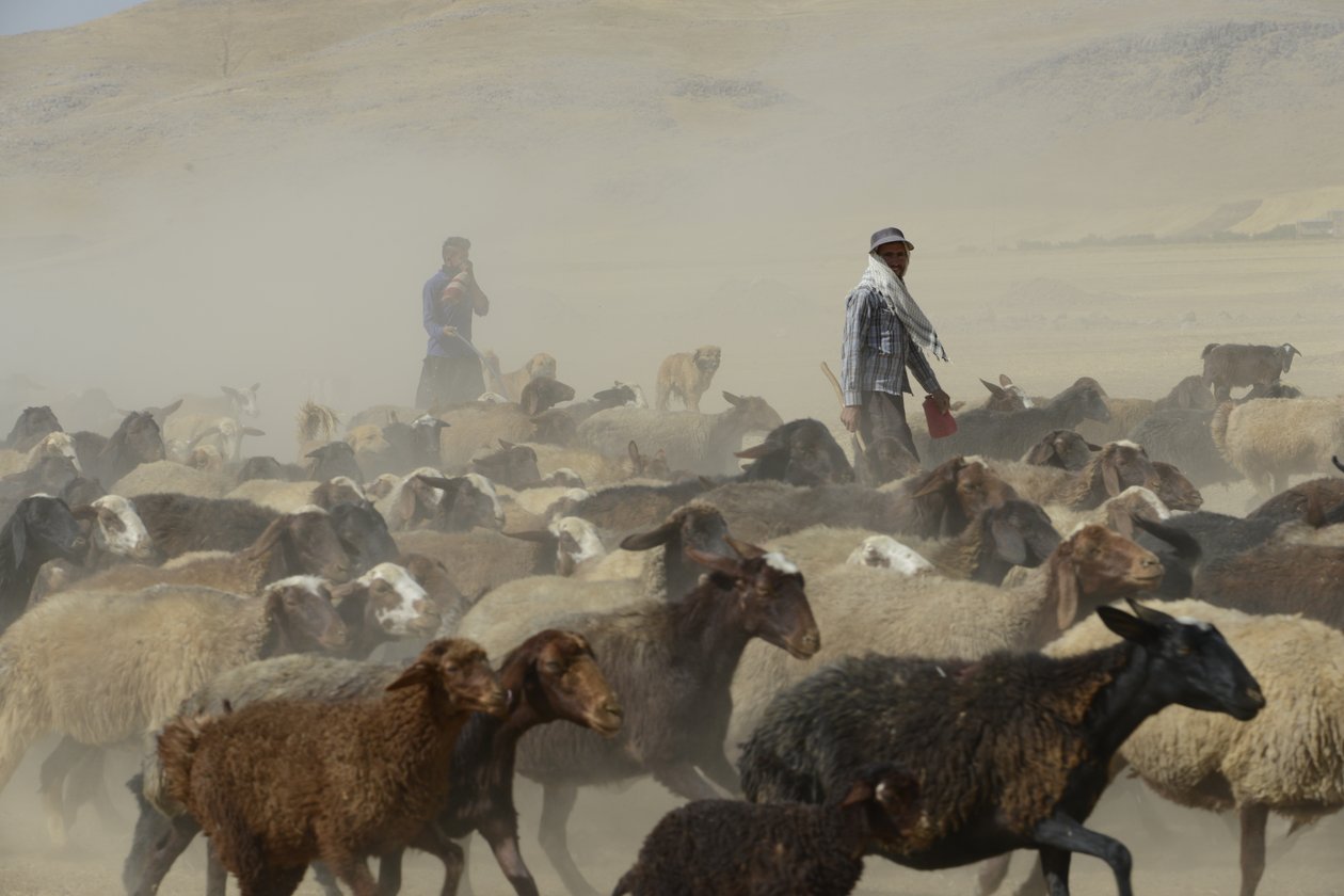 Nomadetelte mellem Tamar og Ashkhaneh, Iran 2022 (fotografi) af Unbekannter Künstler