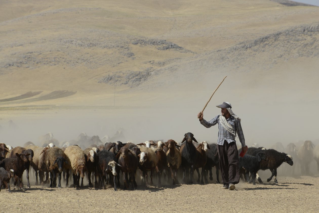 Nomadetelte mellem Tamar og Ashkhaneh, Iran 2022 (fotografi) af Unbekannter Künstler