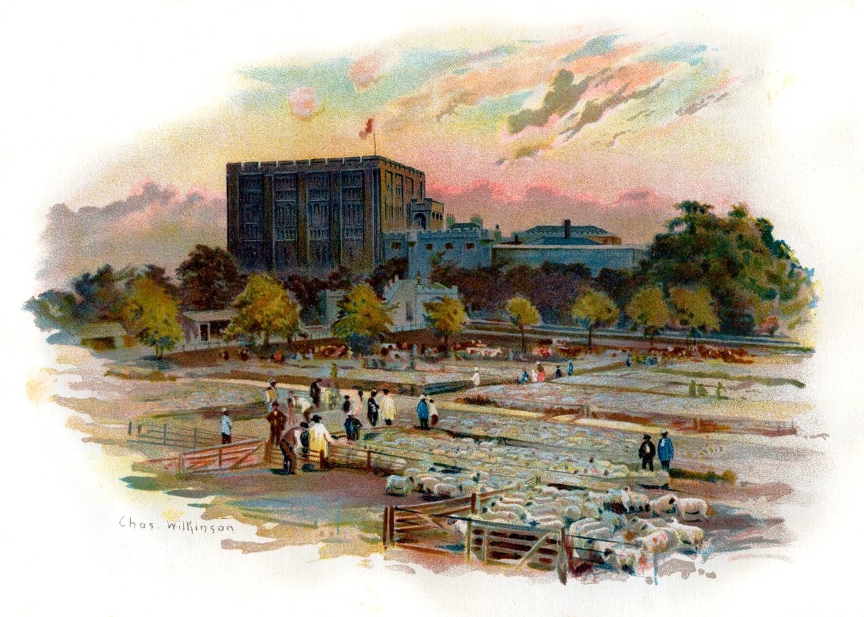 Norwich Castle af Unbekannter Künstler