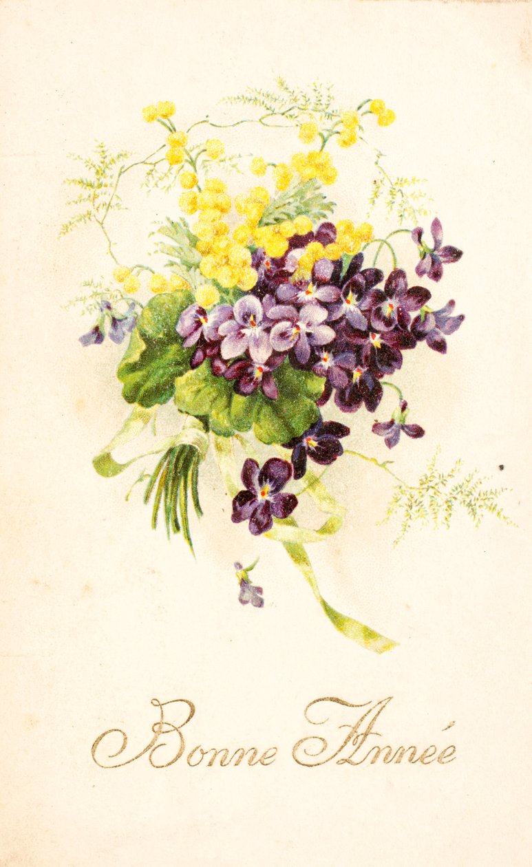 Gammelt postkort/Violet og Mimosa af Unbekannt
