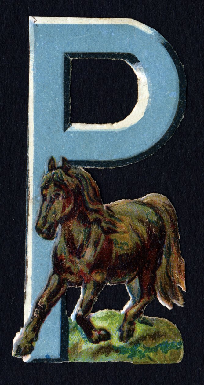 P som Pony. Beetle decoupis med temaet dyr. Gravering. Serie af 26 vaffelkromolitografier af engelsk oprindelse. Redaktør og illustrator ukendt. Slutningen af det 19. århundrede. Mål: 5,5 x 3,5 cm af Unbekannt