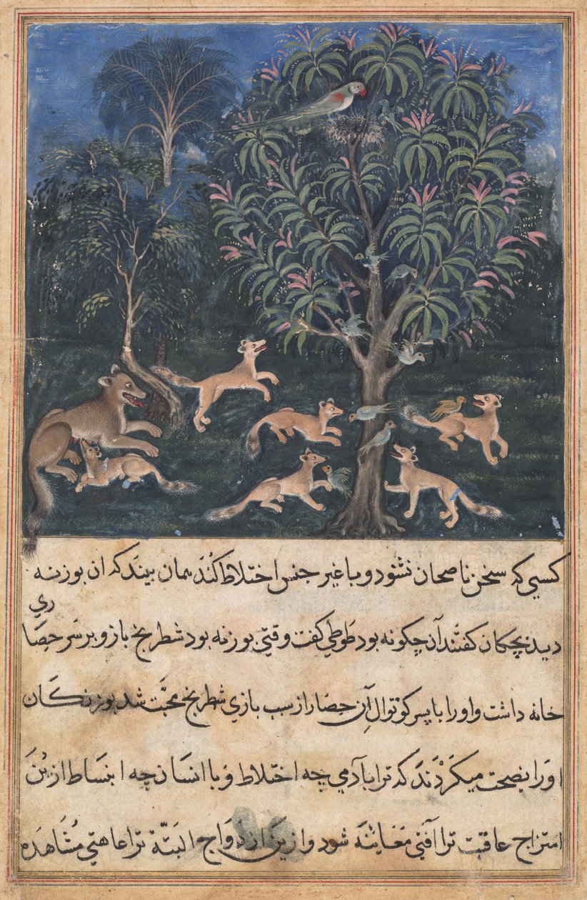 Side fra Fortællinger om en papegøje (Tuti-nama): Femte nat: Papegøjemoderen advarer sine unger om faren ved at lege med ræve, ca. 1560 (uigennemsigtig akvarel, guld og blæk på papir) af Unbekannt