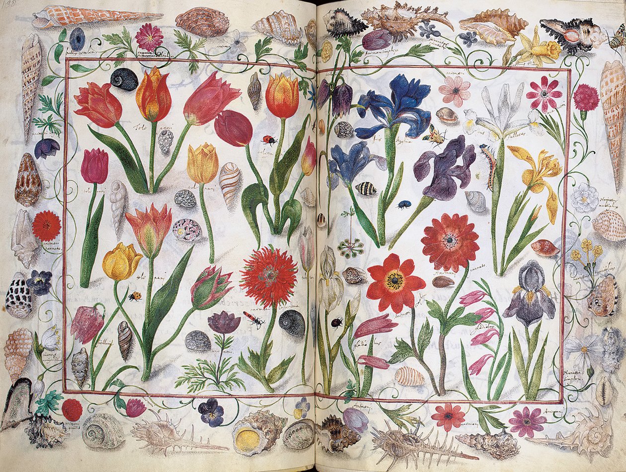 Sider fra albummet Amicorum af Philipp Hainhofer, 1596-1633 af Unbekannt