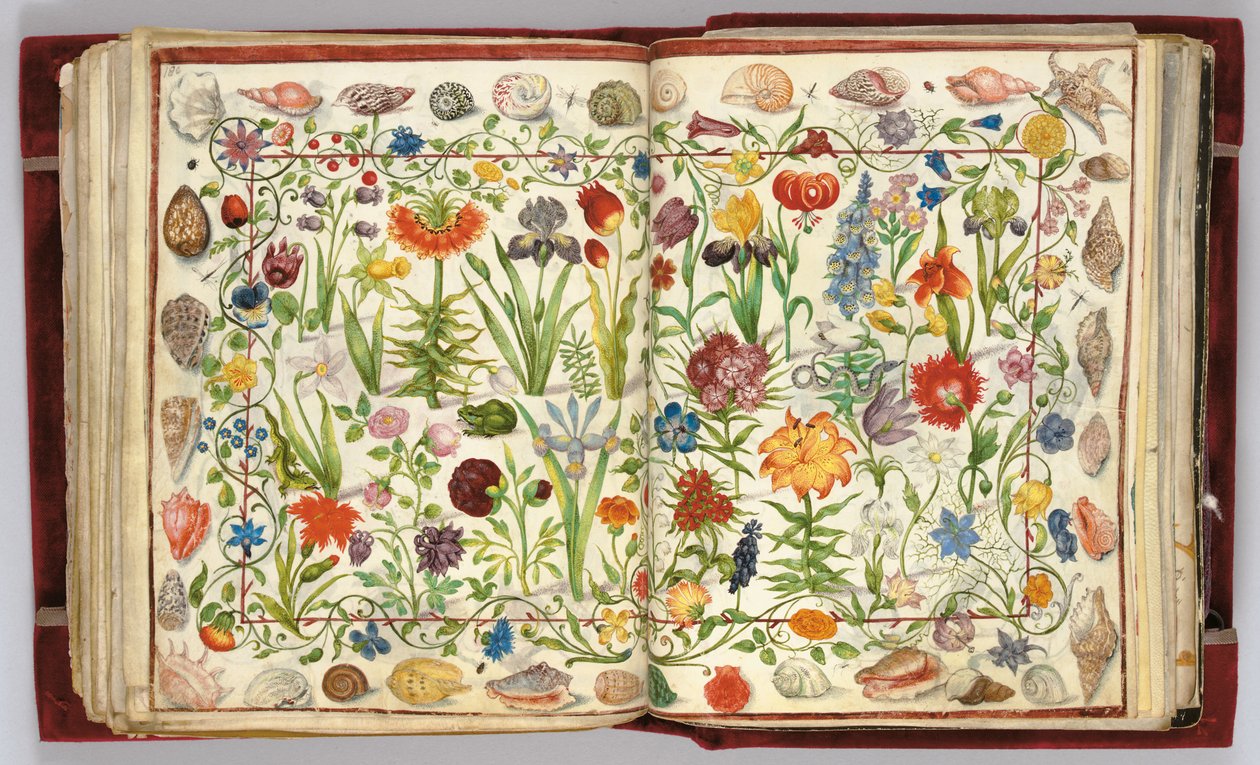 Sider fra albummet Amicorum af Philipp Hainhofer, 1596-1633 af Unbekannt