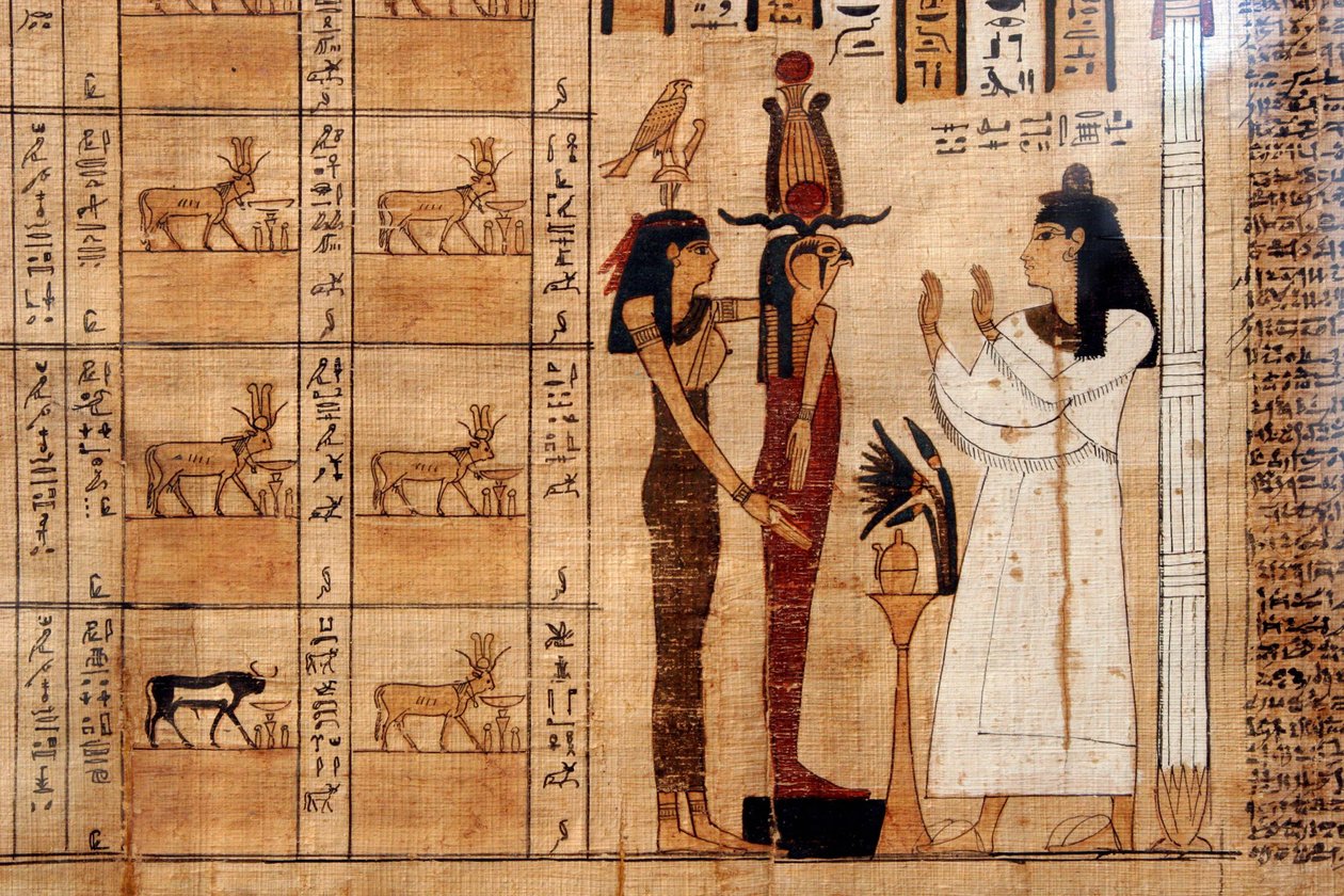 Papyrus fra en dødebog, Egyptisk Museum, Torino af Unbekannt