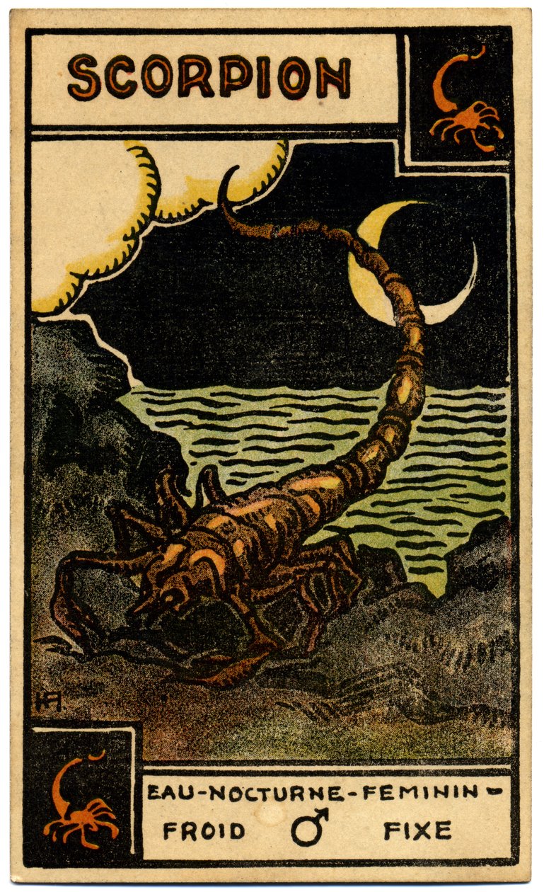 Paranormalt. Astrologi. Skorpionen (Skorpionen). Astrologisk kort fra: Le Tarot Astrologique (Astrologisk Tarot), af Georges Muchery, Frankrig af Unbekannter Künstler