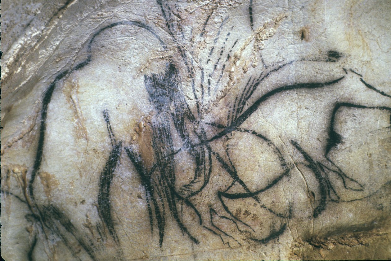 Forhistorisk Cave of Pech Merle/Mammuternes Kapel/25.000 år/Cabrerets/Lot/Midi Pyrenæerne/Frankrig af Unbekannt