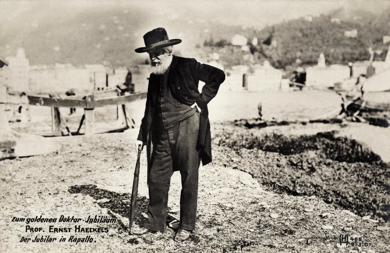 Professor Ernst Haeckels i Rapallo, Italien (s/h foto) af Unbekannt