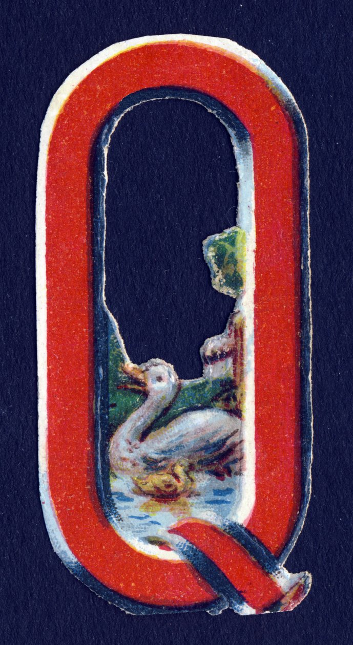 Q som Quack . Beetle decoupis med temaet dyr. Gravering. Serie af 26 vaffelkromolitografier af engelsk oprindelse. Redaktør og illustrator ukendt. Slutningen af det 19. århundrede. Mål: 5,5 x 3,5 cm af Unbekannt