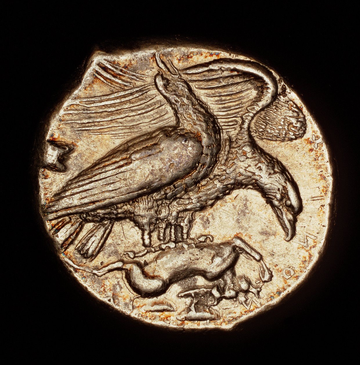 Sjælden oldgræsk mønt, sølvdrakme, Agrigentum, ørn med hare ca. 410 f.Kr (foto) af Unbekannter Künstler